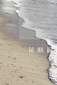 花呗逾期影响申请招商信用卡嘛