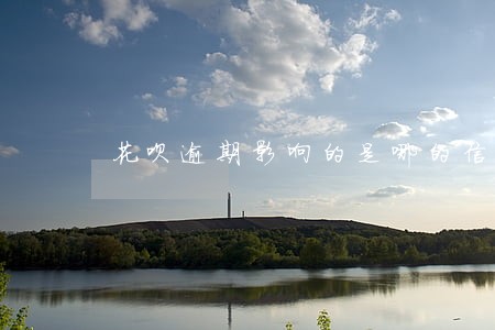花呗逾期影响的是哪的信用 花呗逾期影响的是哪的信用