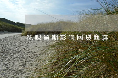 花呗逾期影响网贷商嘛 花呗逾期影响网贷商嘛