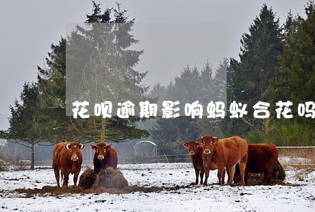花呗逾期影响蚂蚁合花吗 花呗逾期影响蚂蚁合花吗