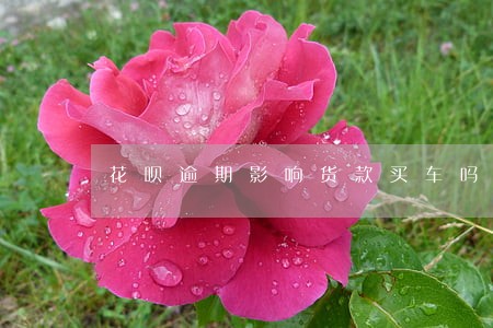 花呗逾期影响货款买车吗 花呗逾期影响货款买车吗