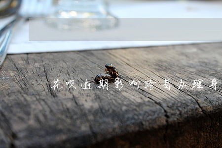 花呗逾期影响跨省办理身份证吗 花呗逾期影响跨省办理身份证吗