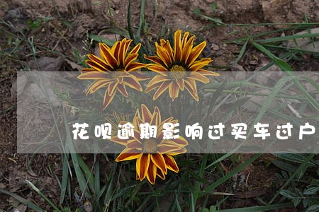 花呗逾期影响过买车过户吗 花呗逾期影响过买车过户吗