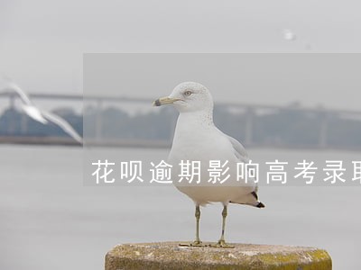 花呗逾期影响高考录取吗 花呗逾期影响高考录取吗