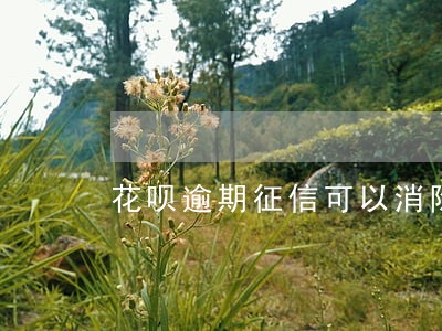 花呗逾期征信可以消除不 花呗逾期征信可以消除不