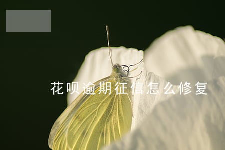 花呗逾期征信怎么修复 花呗逾期征信怎么修复