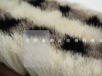 花呗逾期征信报告有没有显示