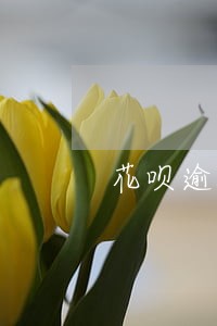 花呗逾期征信报告有记录吗 花呗逾期征信报告有记录吗
