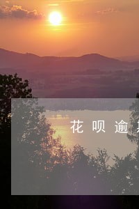 花呗逾期征信是什么情况 花呗逾期征信是什么情况