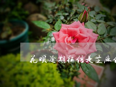 花呗逾期征信是芝麻信用上报吗 花呗逾期征信是芝麻信用上报吗