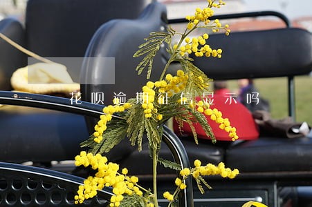 花呗逾期征信显示吗 花呗逾期征信显示吗