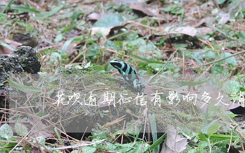 花呗逾期征信有影响多久消除 花呗逾期征信有影响多久消除