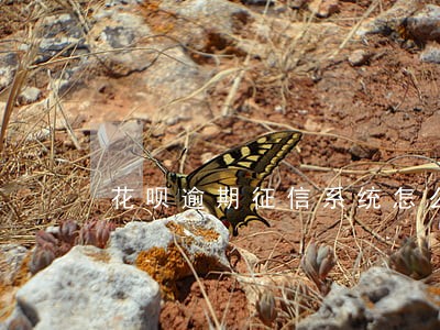 花呗逾期征信系统怎么撤销 花呗逾期征信系统怎么撤销
