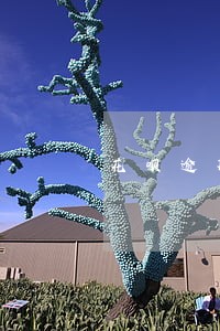 花呗逾期征信记录多久消失 花呗逾期征信记录多久消失