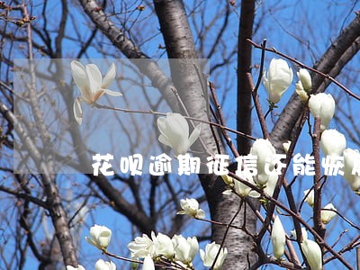 花呗逾期征信还能恢复吗 花呗逾期征信还能恢复吗
