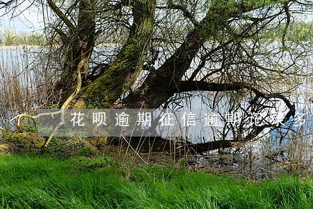 花呗逾期征信逾期记录多久消除 花呗逾期征信逾期记录多久消除