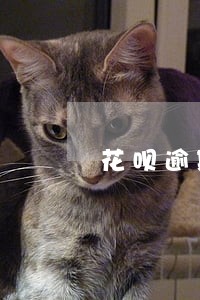 花呗逾期待修复在哪里 花呗逾期待修复在哪里