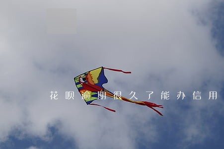 花呗逾期很久了能办信用卡吗 花呗逾期很久了能办信用卡吗
