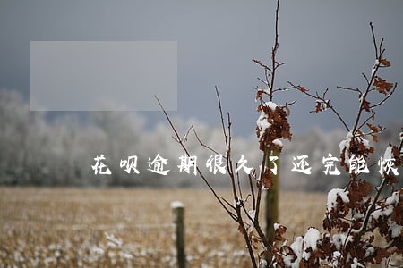 花呗逾期很久了还完能恢复吗 花呗逾期很久了还完能恢复吗