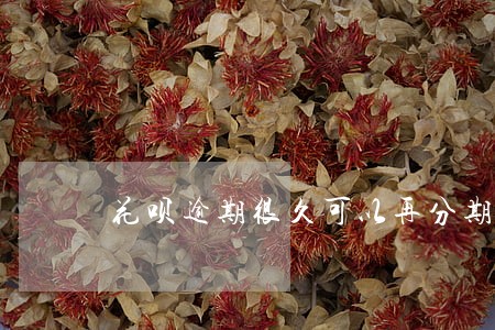 花呗逾期很久可以再分期还吗 花呗逾期很久可以再分期还吗