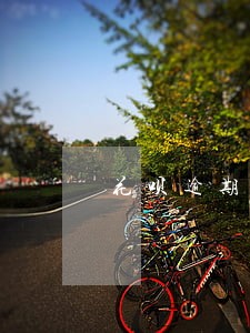 花呗逾期很久如何恢复使用 花呗逾期很久如何恢复使用