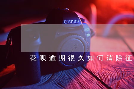 花呗逾期很久如何消除征信记录 花呗逾期很久如何消除征信记录