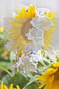 花呗逾期很久突然恢复正常 花呗逾期很久突然恢复正常