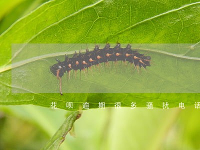 花呗逾期很多骚扰电话 花呗逾期很多骚扰电话