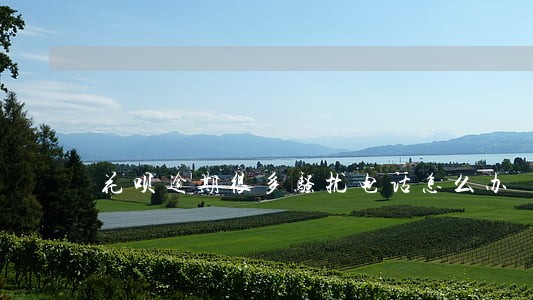 花呗逾期很多骚扰电话怎么办 花呗逾期很多骚扰电话怎么办