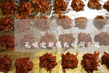 花呗逾期很长时间不还