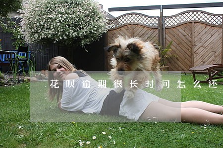 花呗逾期很长时间怎么还能使用 花呗逾期很长时间怎么还能使用