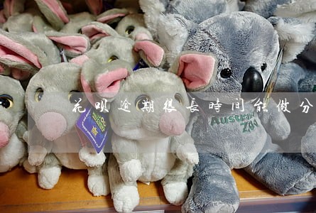 花呗逾期很长时间能做分期吗 花呗逾期很长时间能做分期吗