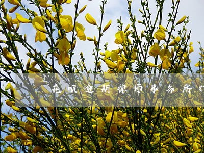 花呗逾期律师事务所打来电话 花呗逾期律师事务所打来电话