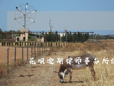 花呗逾期律师事务所说要上门走访 花呗逾期律师事务所说要上门走访