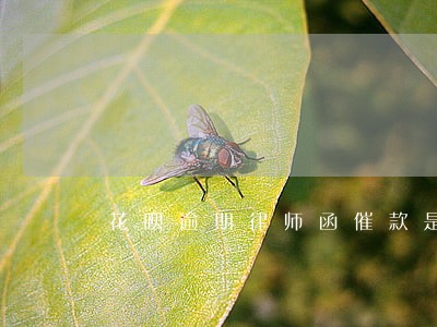 花呗逾期律师函催款是三个月吗 花呗逾期律师函催款是三个月吗