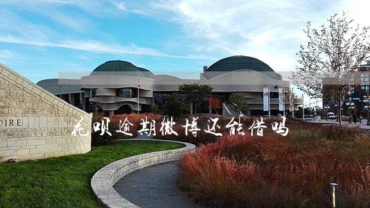 花呗逾期微博还能借吗