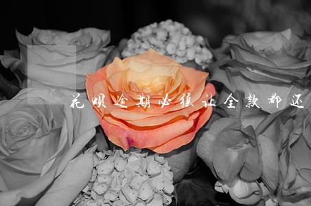 花呗逾期必须让全款都还吗 花呗逾期必须让全款都还吗
