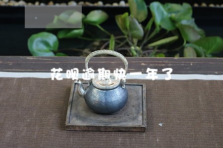 花呗逾期快一年了 花呗逾期快一年了