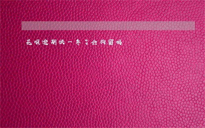 花呗逾期快一年了会拘留吗