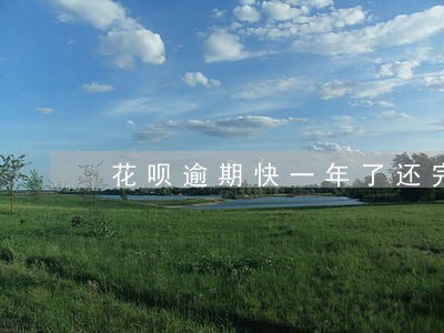 花呗逾期快一年了还完还能使用吗 花呗逾期快一年了还完还能使用吗