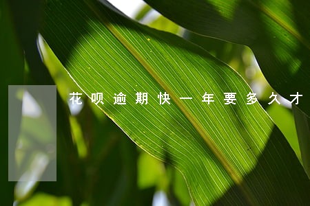花呗逾期快一年要多久才恢复 花呗逾期快一年要多久才恢复