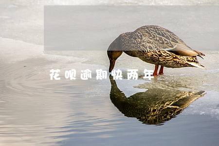 花呗逾期快两年 花呗逾期快两年