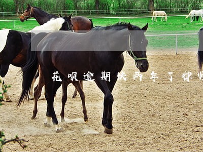 花呗逾期快两年了律师函 花呗逾期快两年了律师函
