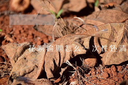 花呗逾期怎么一次性还清