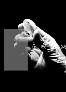 花呗逾期怎么不给我打电话 花呗逾期怎么不给我打电话