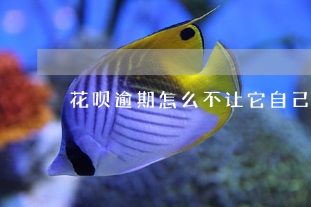 花呗逾期怎么不让它自己扣款 花呗逾期怎么不让它自己扣款