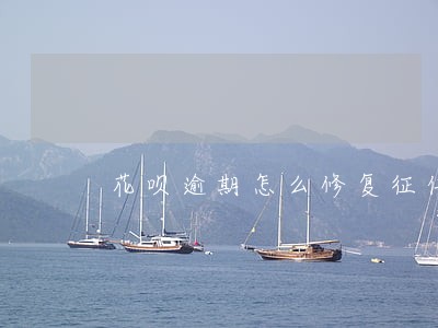 花呗逾期怎么修复征信 花呗逾期怎么修复征信