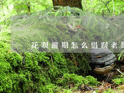 花呗逾期怎么借呗老是扣钱 花呗逾期怎么借呗老是扣钱