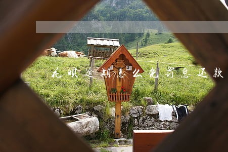 花呗逾期怎么免罚息还款