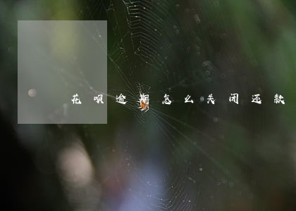 花呗逾期怎么关闭还款